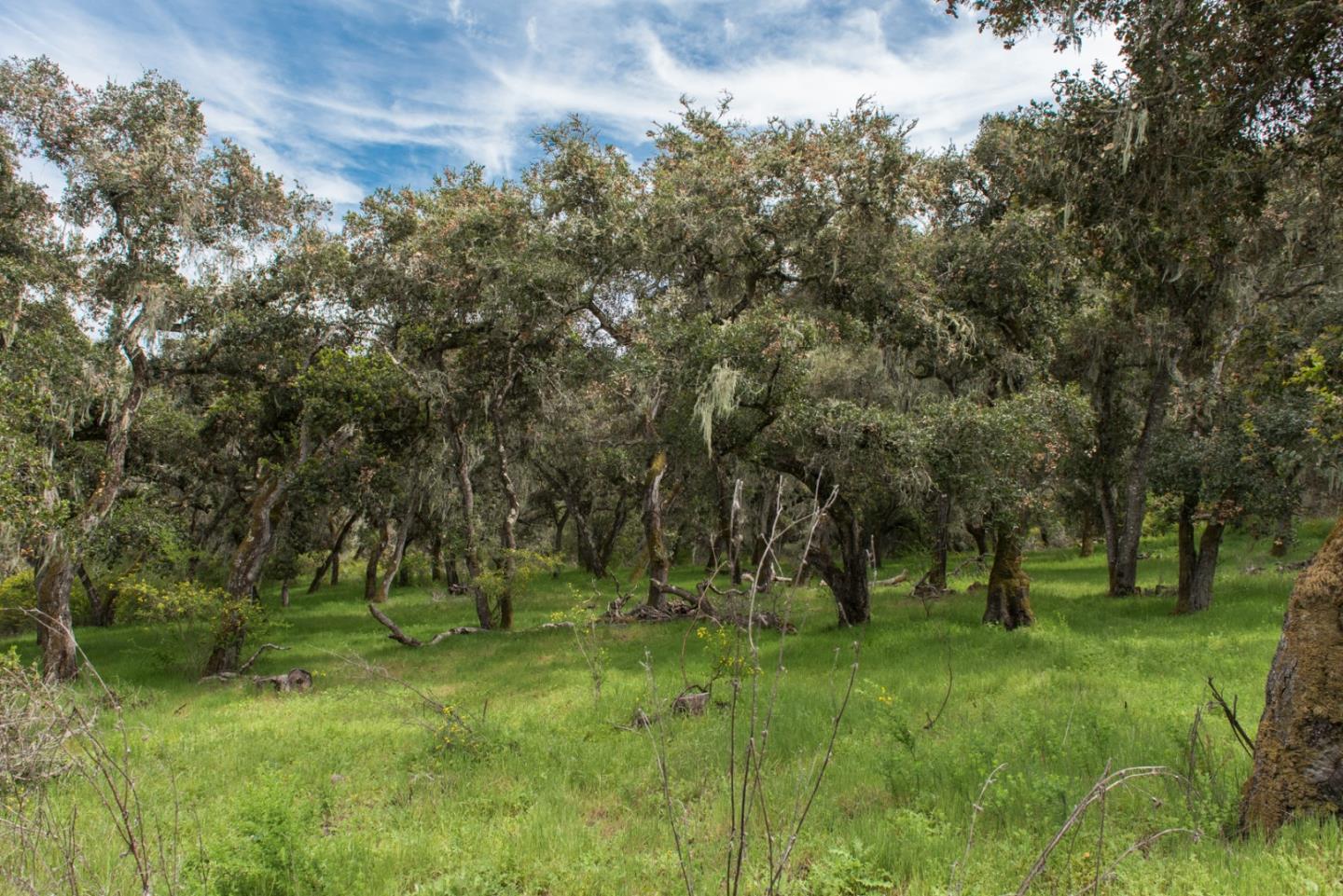 46 Camino De Travesia, CARMEL VALLEY, California 93924, ,Lots And Land,For Sale,Camino De Travesia,40963981