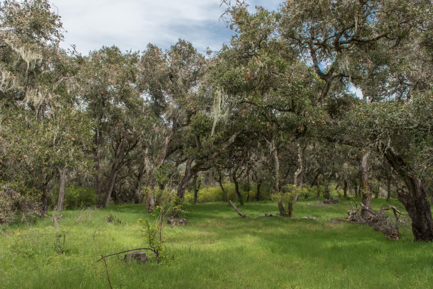 46 Camino De Travesia, CARMEL VALLEY, California 93924, ,Lots And Land,For Sale,Camino De Travesia,40963981