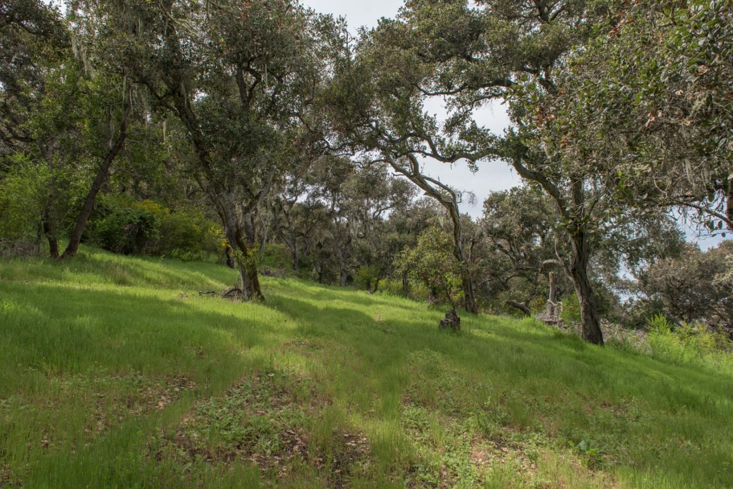 46 Camino De Travesia, CARMEL VALLEY, California 93924, ,Lots And Land,For Sale,Camino De Travesia,40963981