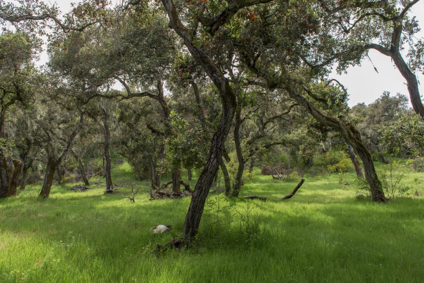 46 Camino De Travesia, CARMEL VALLEY, California 93924, ,Lots And Land,For Sale,Camino De Travesia,40963981