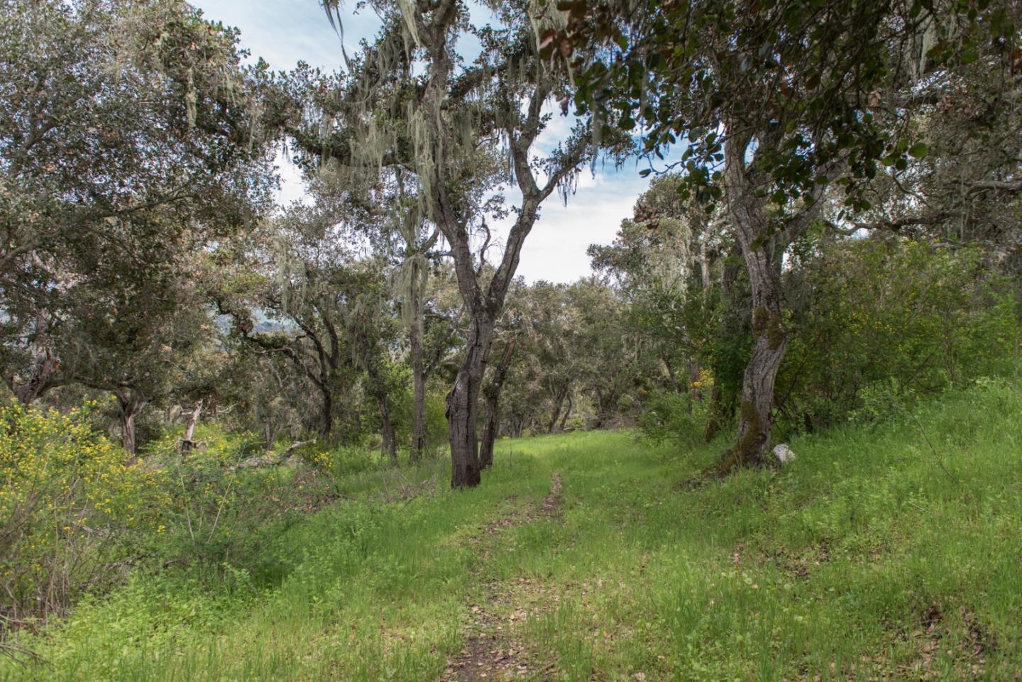 46 Camino De Travesia, CARMEL VALLEY, California 93924, ,Lots And Land,For Sale,Camino De Travesia,40963981