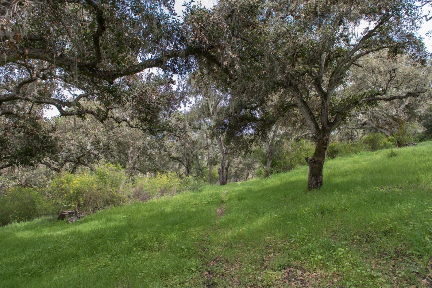 46 Camino De Travesia, CARMEL VALLEY, California 93924, ,Lots And Land,For Sale,Camino De Travesia,40963981