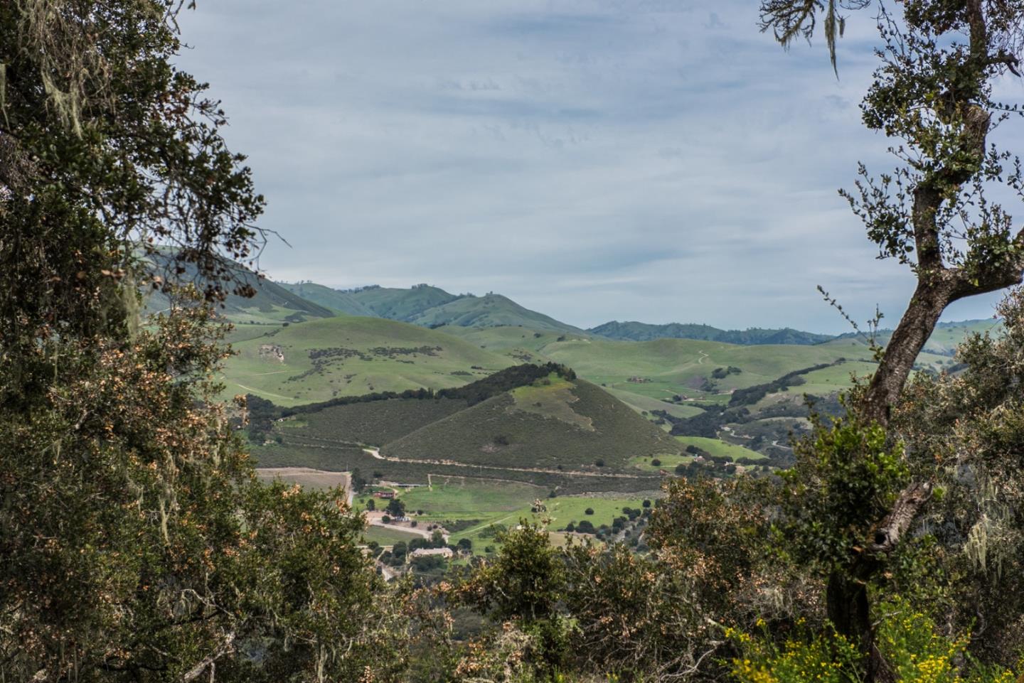 46 Camino De Travesia, CARMEL VALLEY, California 93924, ,Lots And Land,For Sale,Camino De Travesia,40963981