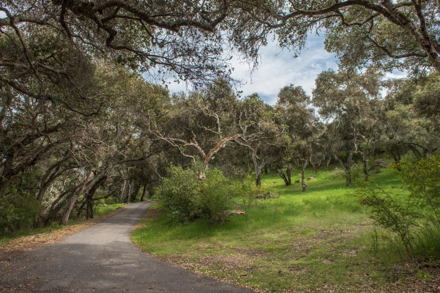 46 Camino De Travesia, CARMEL VALLEY, California 93924, ,Lots And Land,For Sale,Camino De Travesia,40963981