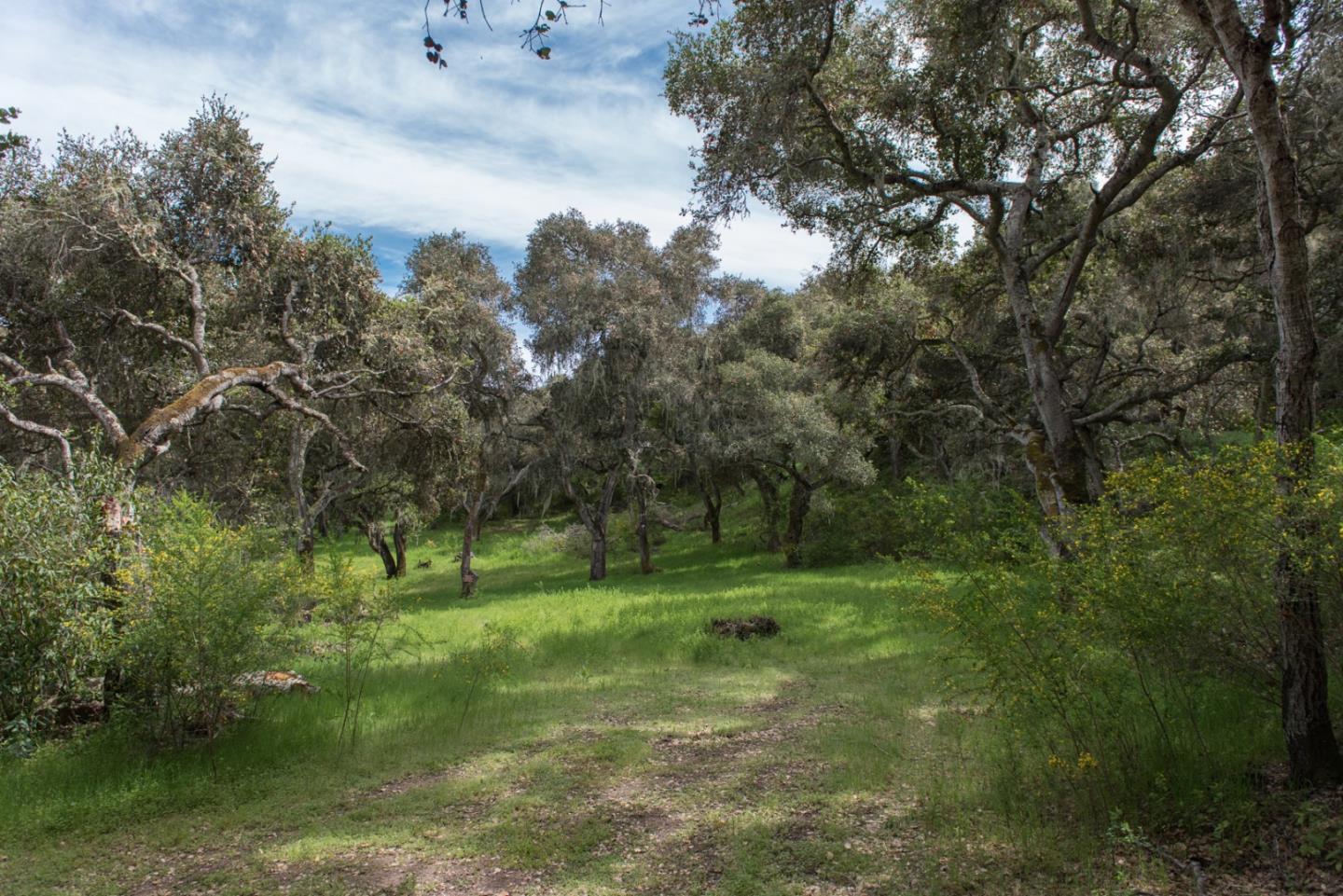 46 Camino De Travesia, CARMEL VALLEY, California 93924, ,Lots And Land,For Sale,Camino De Travesia,40963981