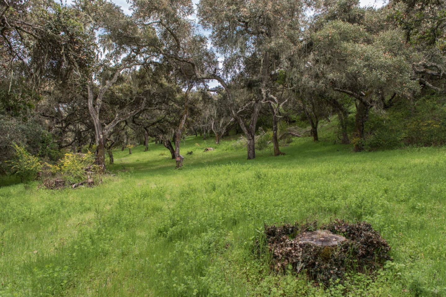 46 Camino De Travesia, CARMEL VALLEY, California 93924, ,Lots And Land,For Sale,Camino De Travesia,40963981