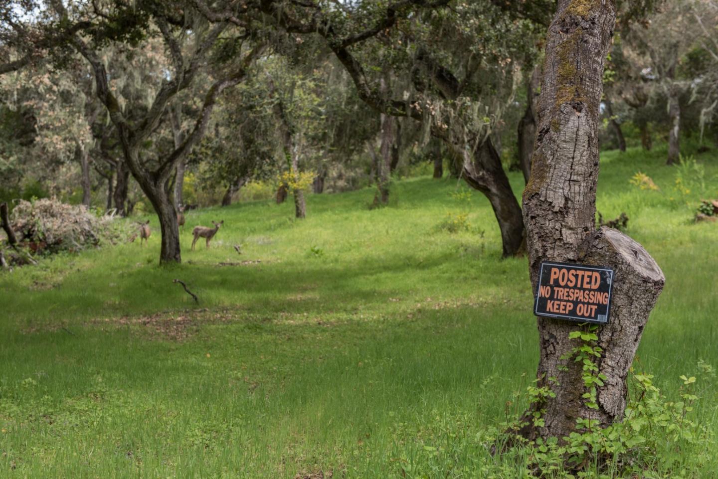 46 Camino De Travesia, CARMEL VALLEY, California 93924, ,Lots And Land,For Sale,Camino De Travesia,40963981