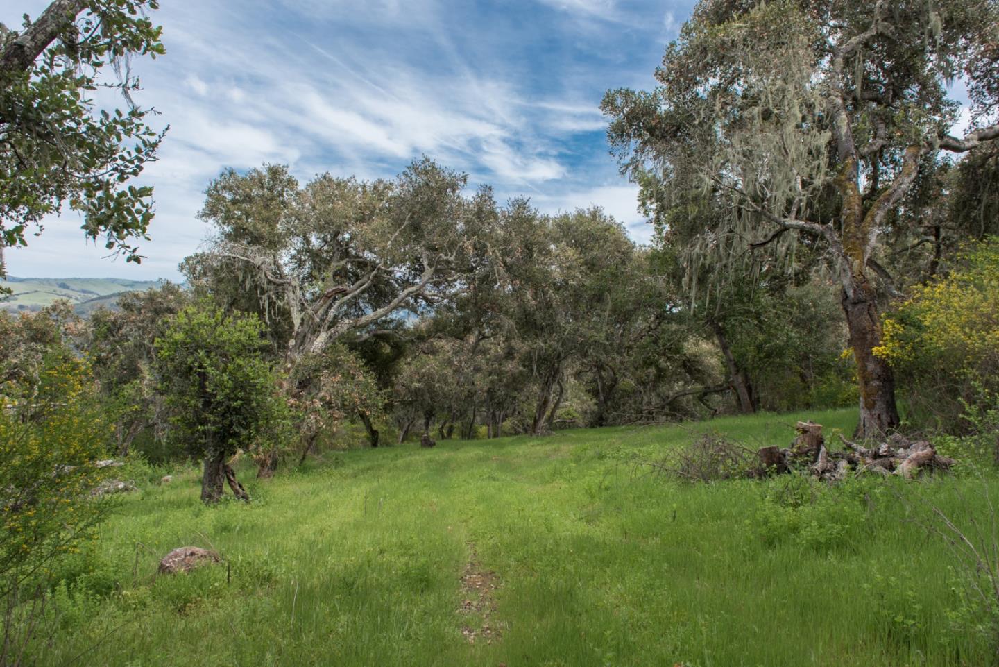 46 Camino De Travesia, CARMEL VALLEY, California 93924, ,Lots And Land,For Sale,Camino De Travesia,40963981