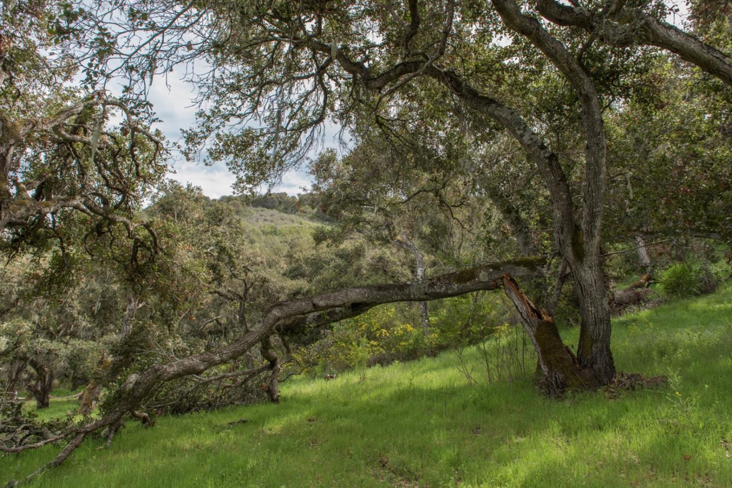 46 Camino De Travesia, CARMEL VALLEY, California 93924, ,Lots And Land,For Sale,Camino De Travesia,40963981
