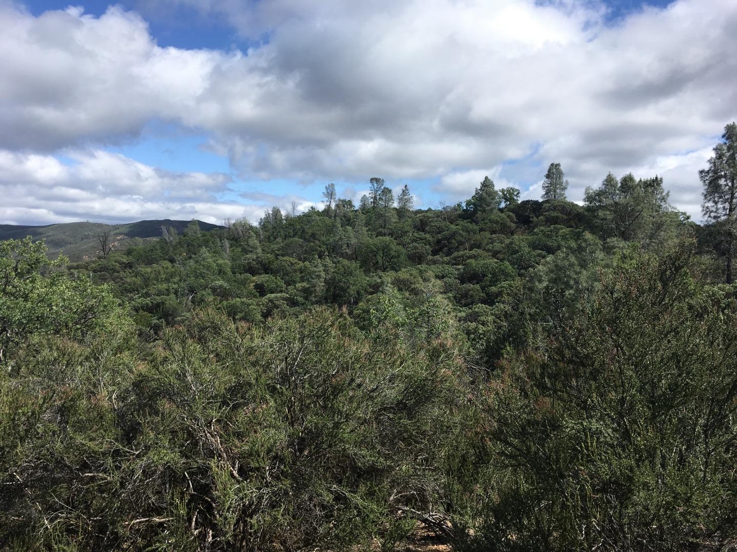 070-24-021 APN# Road, SAN JOSE, California 95140, ,Lots And Land,For Sale,APN# Road,40967347