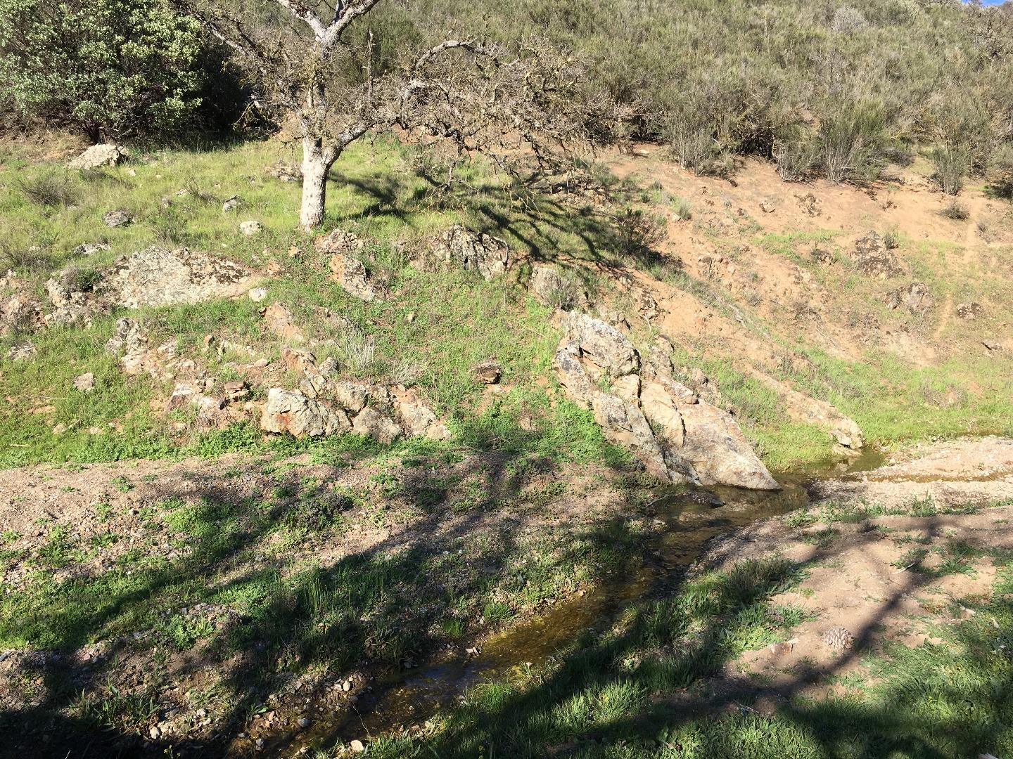 070-24-021 APN# Road, SAN JOSE, California 95140, ,Lots And Land,For Sale,APN# Road,40967347