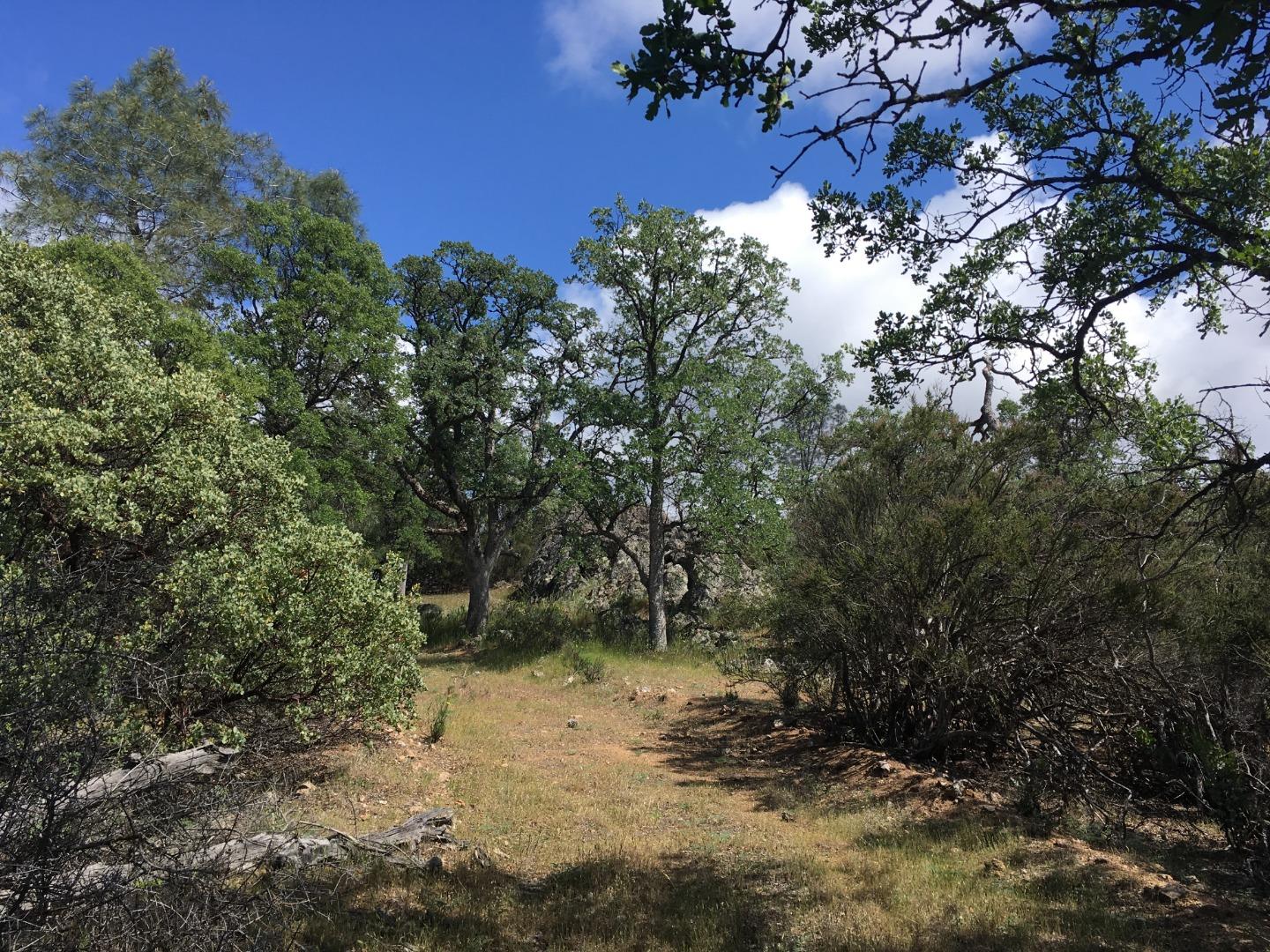 070-24-021 APN# Road, SAN JOSE, California 95140, ,Lots And Land,For Sale,APN# Road,40967347