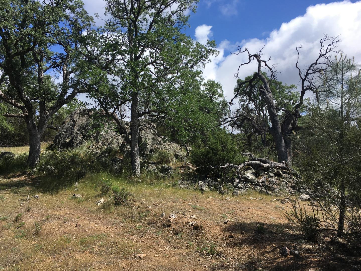 070-24-021 APN# Road, SAN JOSE, California 95140, ,Lots And Land,For Sale,APN# Road,40967347