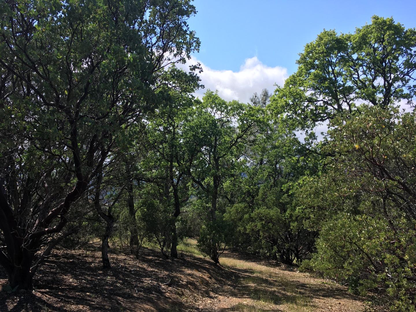 070-24-021 APN# Road, SAN JOSE, California 95140, ,Lots And Land,For Sale,APN# Road,40967347
