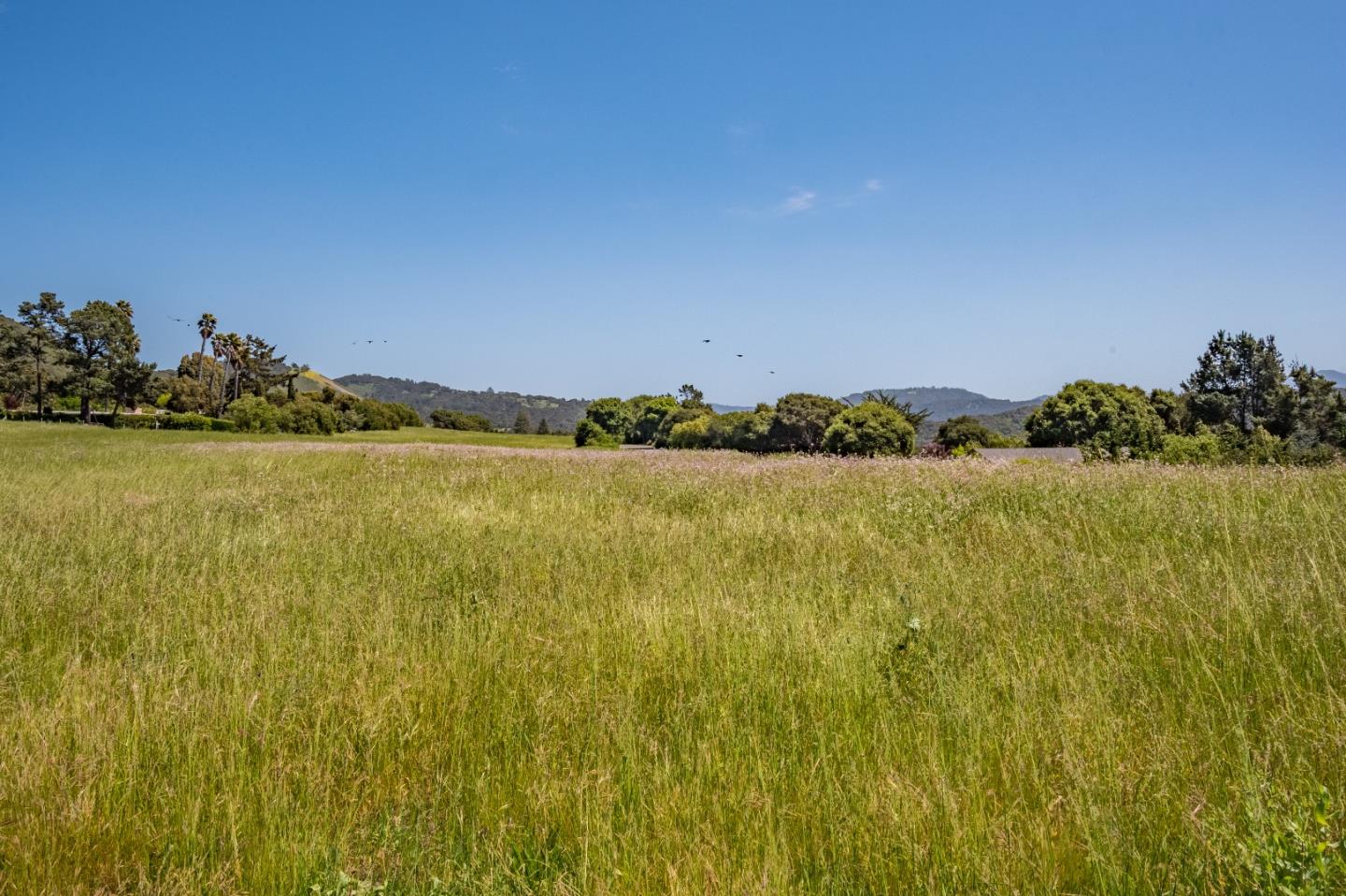 0 Lilac Lane, CARMEL VALLEY, California 93924, ,Lots And Land,For Sale,Lilac Lane,40962302