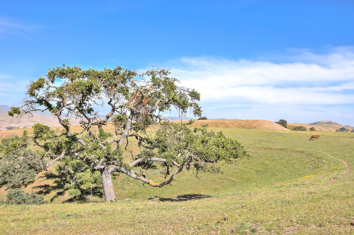 0 Southside Road, HOLLISTER, California 95023, ,Lots And Land,For Sale,Southside Road,40967348