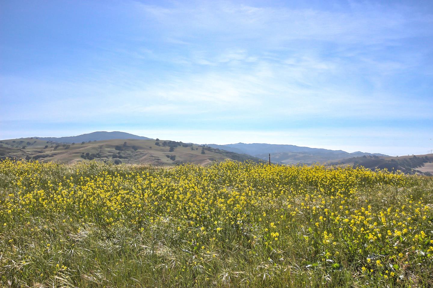 0 Southside Road, HOLLISTER, California 95023, ,Lots And Land,For Sale,Southside Road,40967348