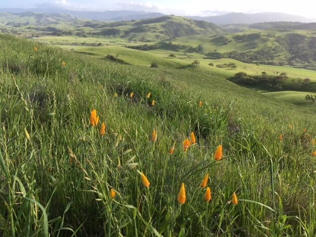 0 Southside Road, HOLLISTER, California 95023, ,Lots And Land,For Sale,Southside Road,40967348