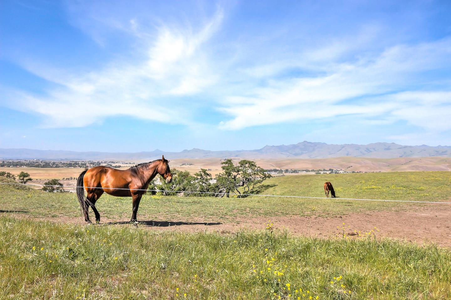 0 Southside Road, HOLLISTER, California 95023, ,Lots And Land,For Sale,Southside Road,40967348