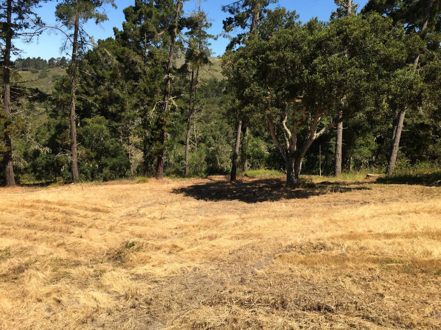12 Alta Madera (Tehama Lot 4) Avenue, CARMEL, California 93923, ,Lots And Land,For Sale,Alta Madera (Tehama Lot 4) Avenue,40962343