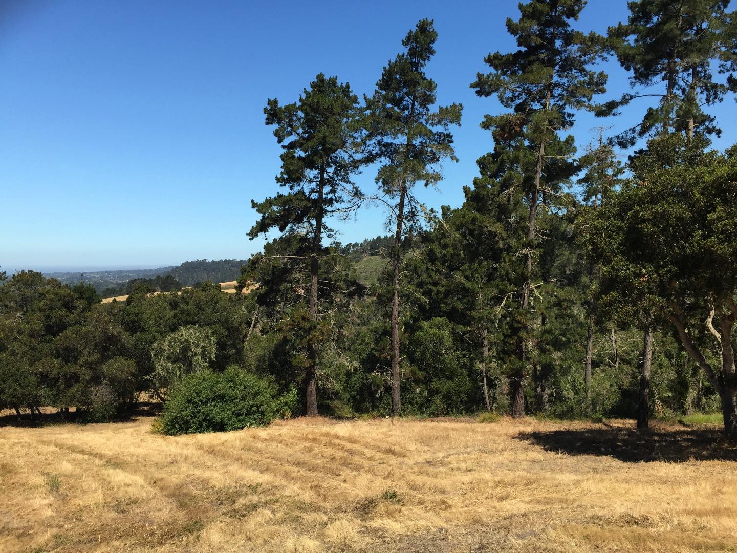 12 Alta Madera (Tehama Lot 4) Avenue, CARMEL, California 93923, ,Lots And Land,For Sale,Alta Madera (Tehama Lot 4) Avenue,40962343