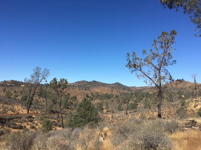 0 Six Bit Gulch Road, JAMESTOWN, California 95327, ,Comm Lots And Land,For Sale,Six Bit Gulch Road,40962186