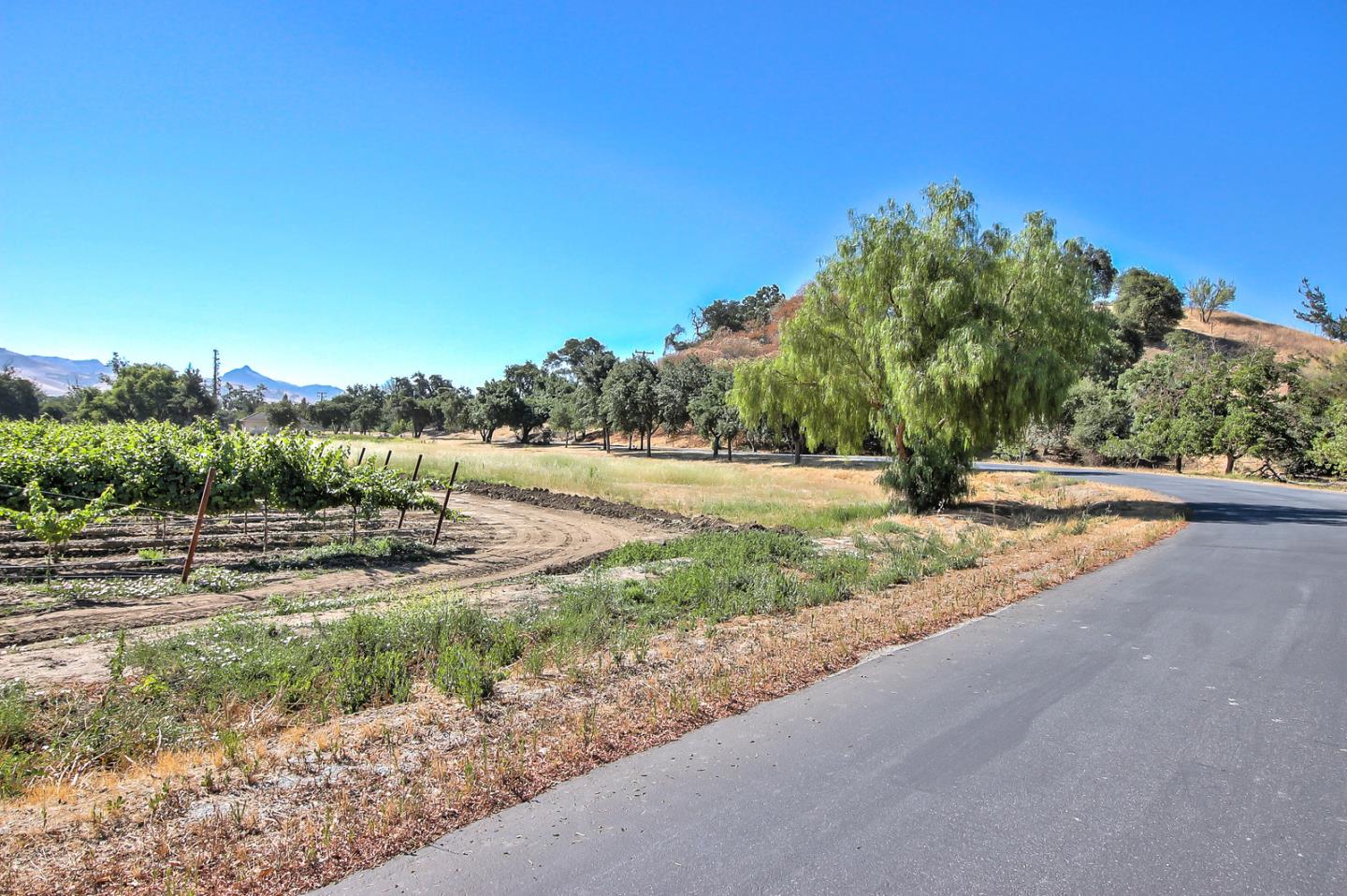 271 Pacheco Creek Lane, HOLLISTER, California 95023, ,Lots And Land,For Sale,Pacheco Creek Lane,40965656