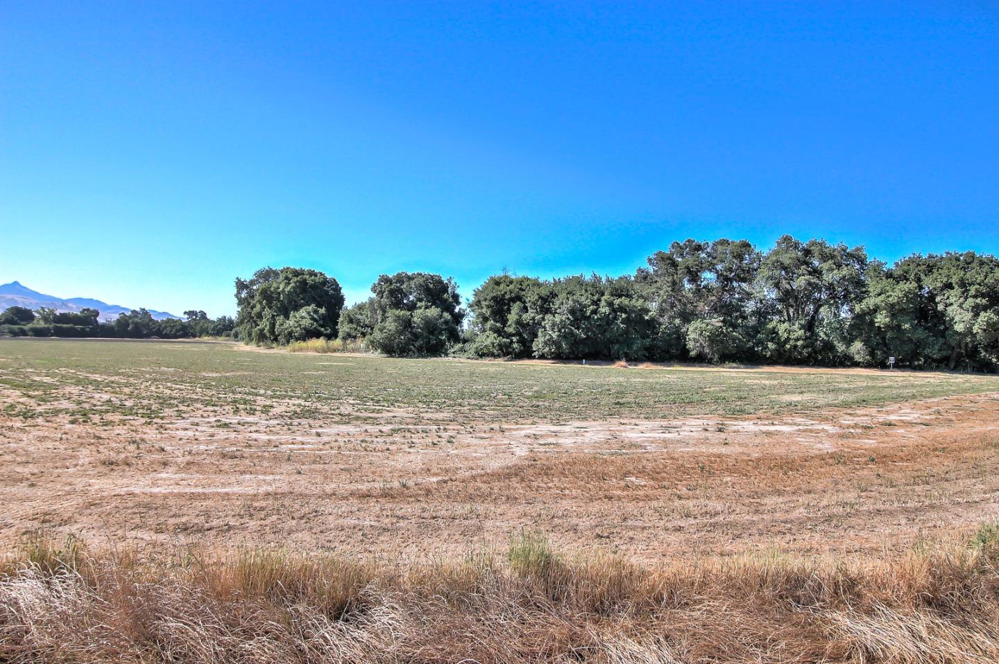 271 Pacheco Creek Lane, HOLLISTER, California 95023, ,Lots And Land,For Sale,Pacheco Creek Lane,40965656