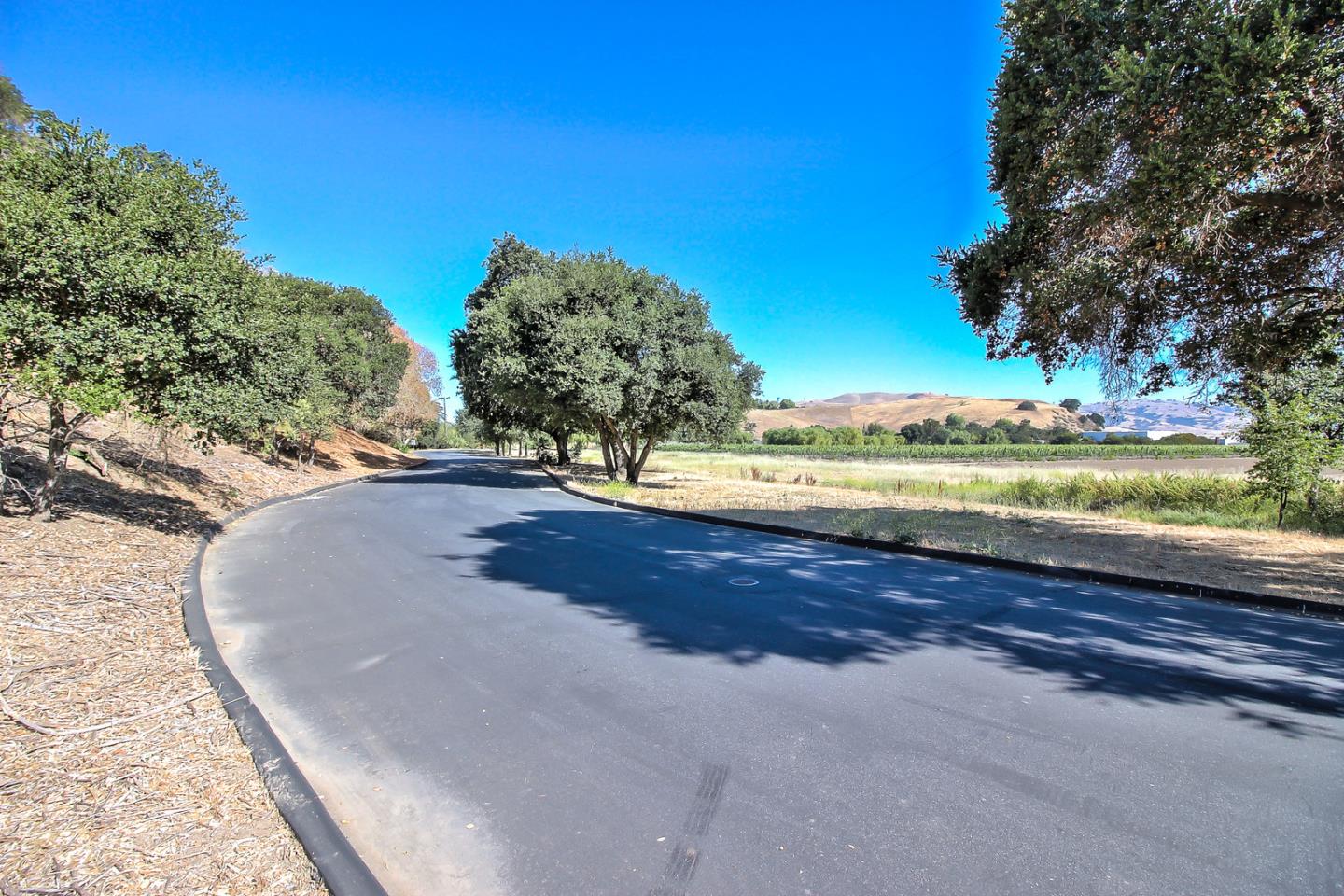 307 Pacheco Creek Lane, HOLLISTER, California 95023, ,Lots And Land,For Sale,Pacheco Creek Lane,40965657