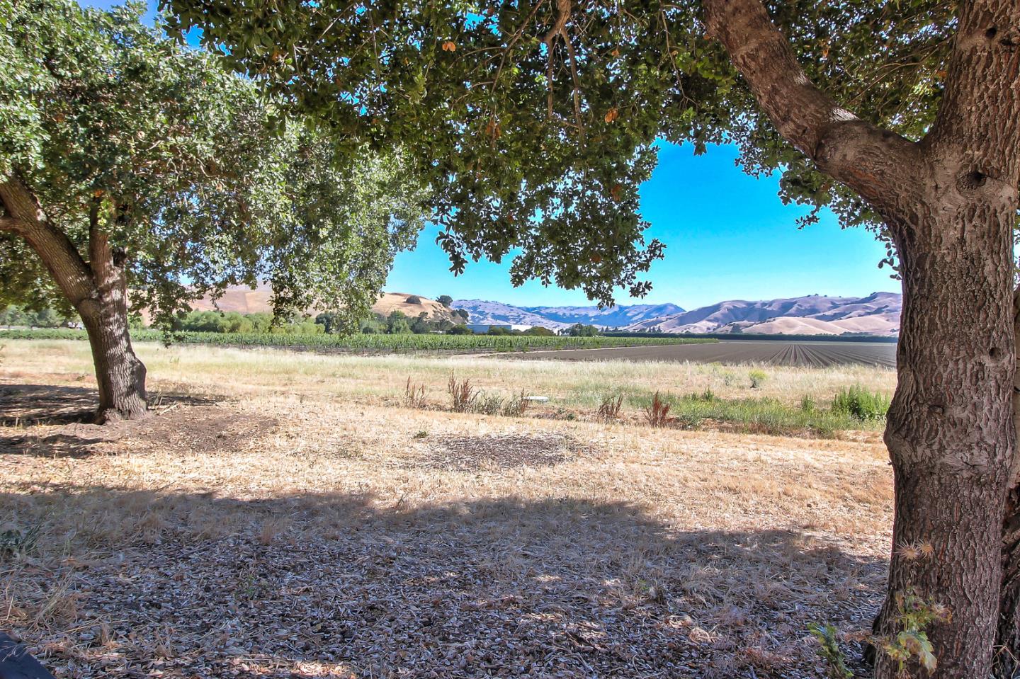 307 Pacheco Creek Lane, HOLLISTER, California 95023, ,Lots And Land,For Sale,Pacheco Creek Lane,40965657