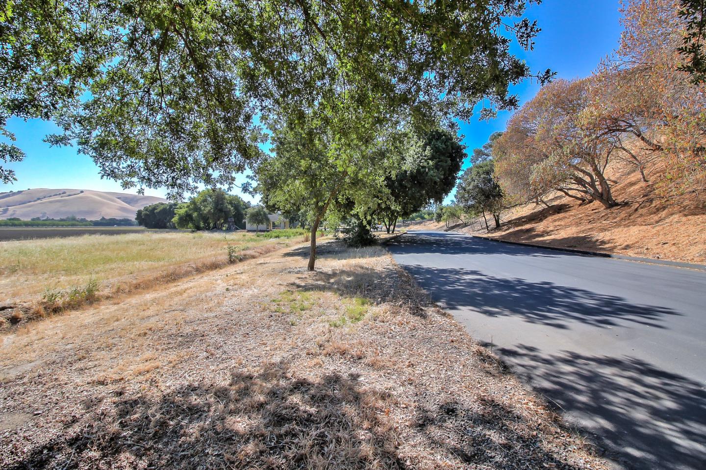 307 Pacheco Creek Lane, HOLLISTER, California 95023, ,Lots And Land,For Sale,Pacheco Creek Lane,40965657