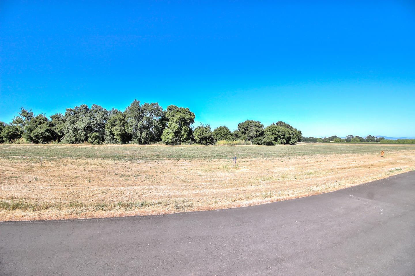 307 Pacheco Creek Lane, HOLLISTER, California 95023, ,Lots And Land,For Sale,Pacheco Creek Lane,40965657