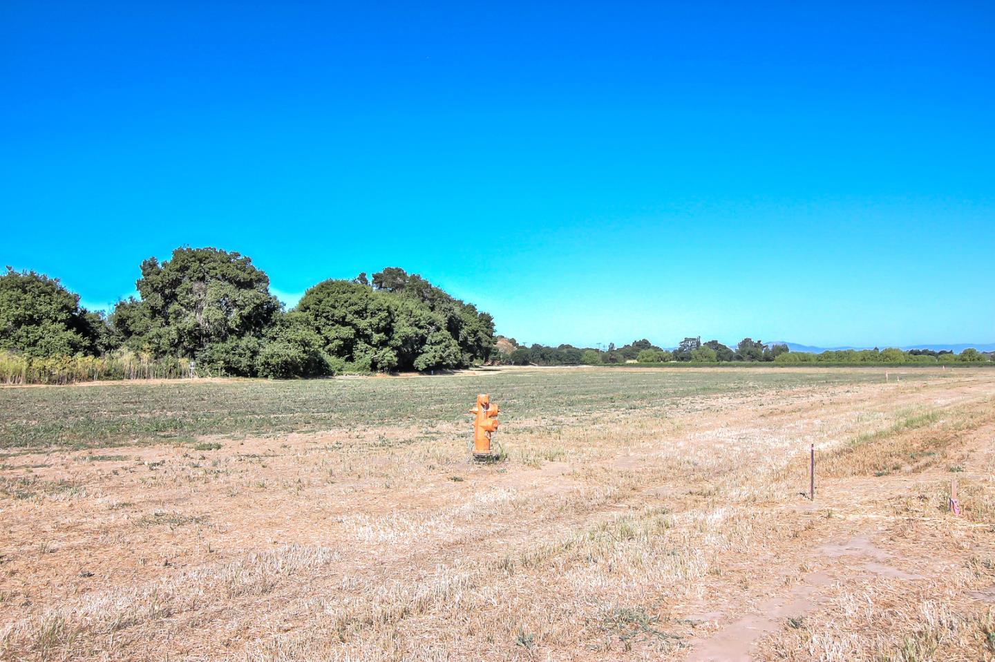 307 Pacheco Creek Lane, HOLLISTER, California 95023, ,Lots And Land,For Sale,Pacheco Creek Lane,40965657