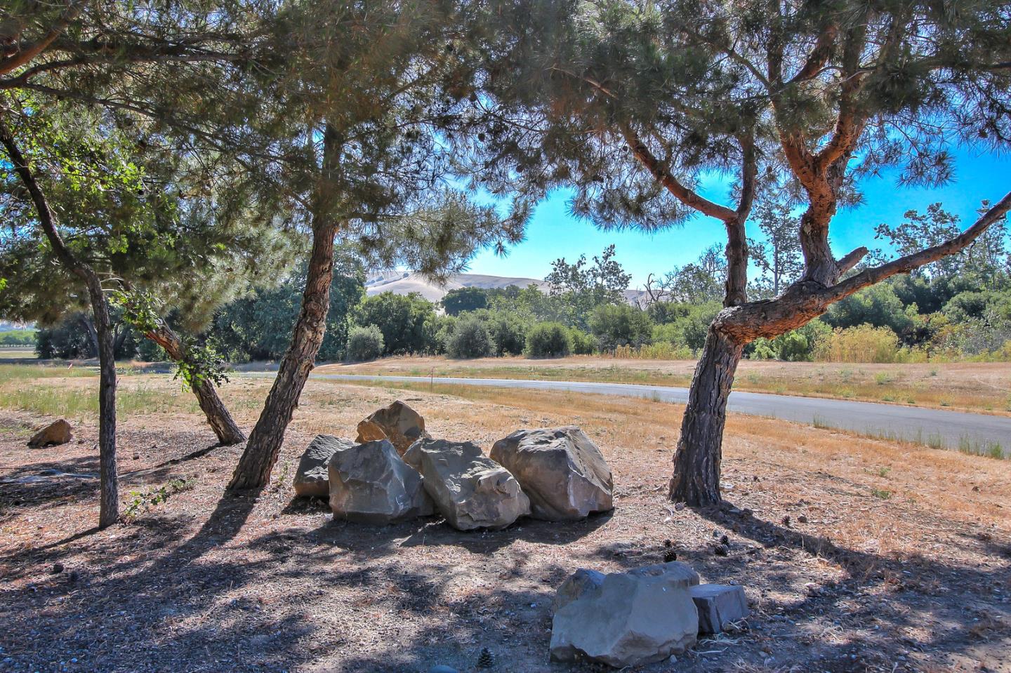 307 Pacheco Creek Lane, HOLLISTER, California 95023, ,Lots And Land,For Sale,Pacheco Creek Lane,40965657