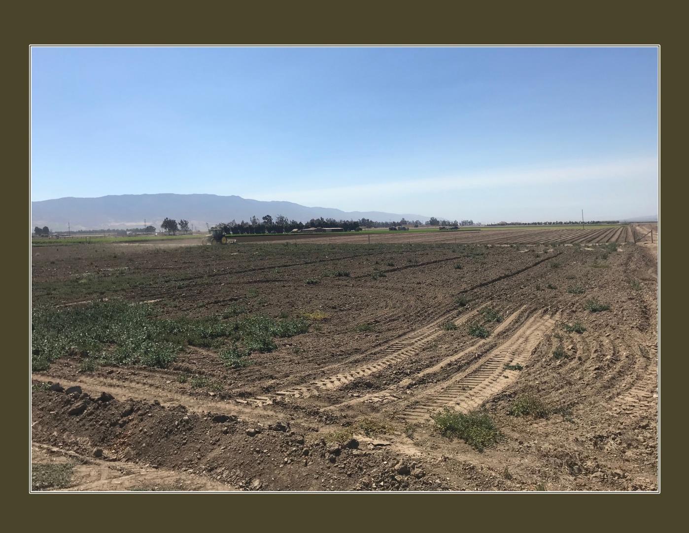 40895 Cherry Avenue, GREENFIELD, California 93927, ,Comm Lots And Land,For Sale,Cherry Avenue,40962286