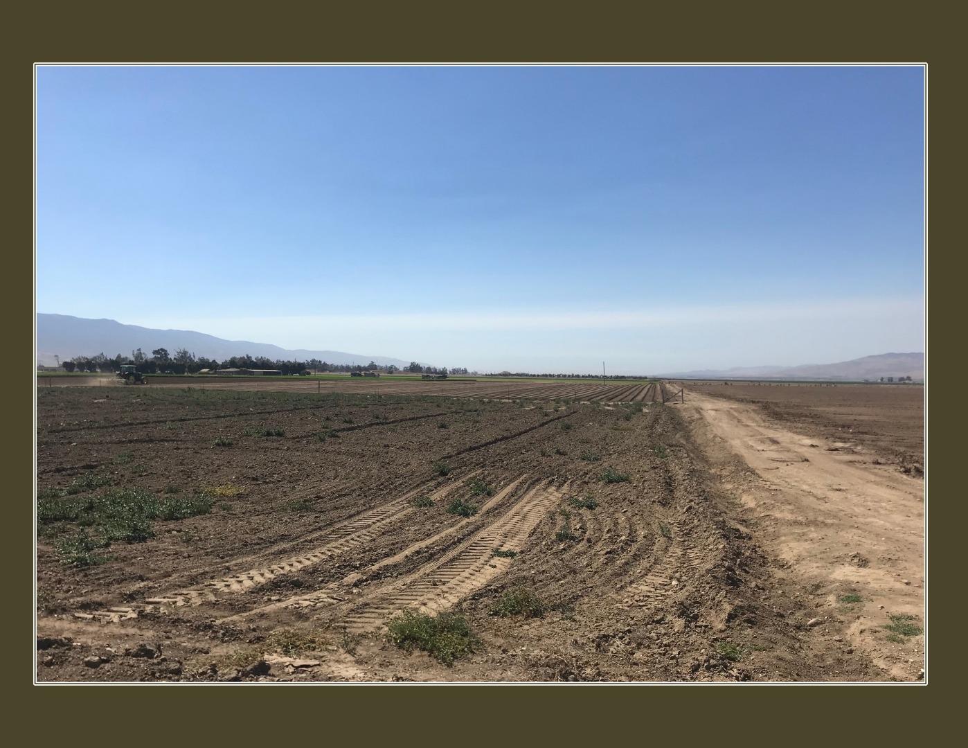 40895 Cherry Avenue, GREENFIELD, California 93927, ,Comm Lots And Land,For Sale,Cherry Avenue,40962286