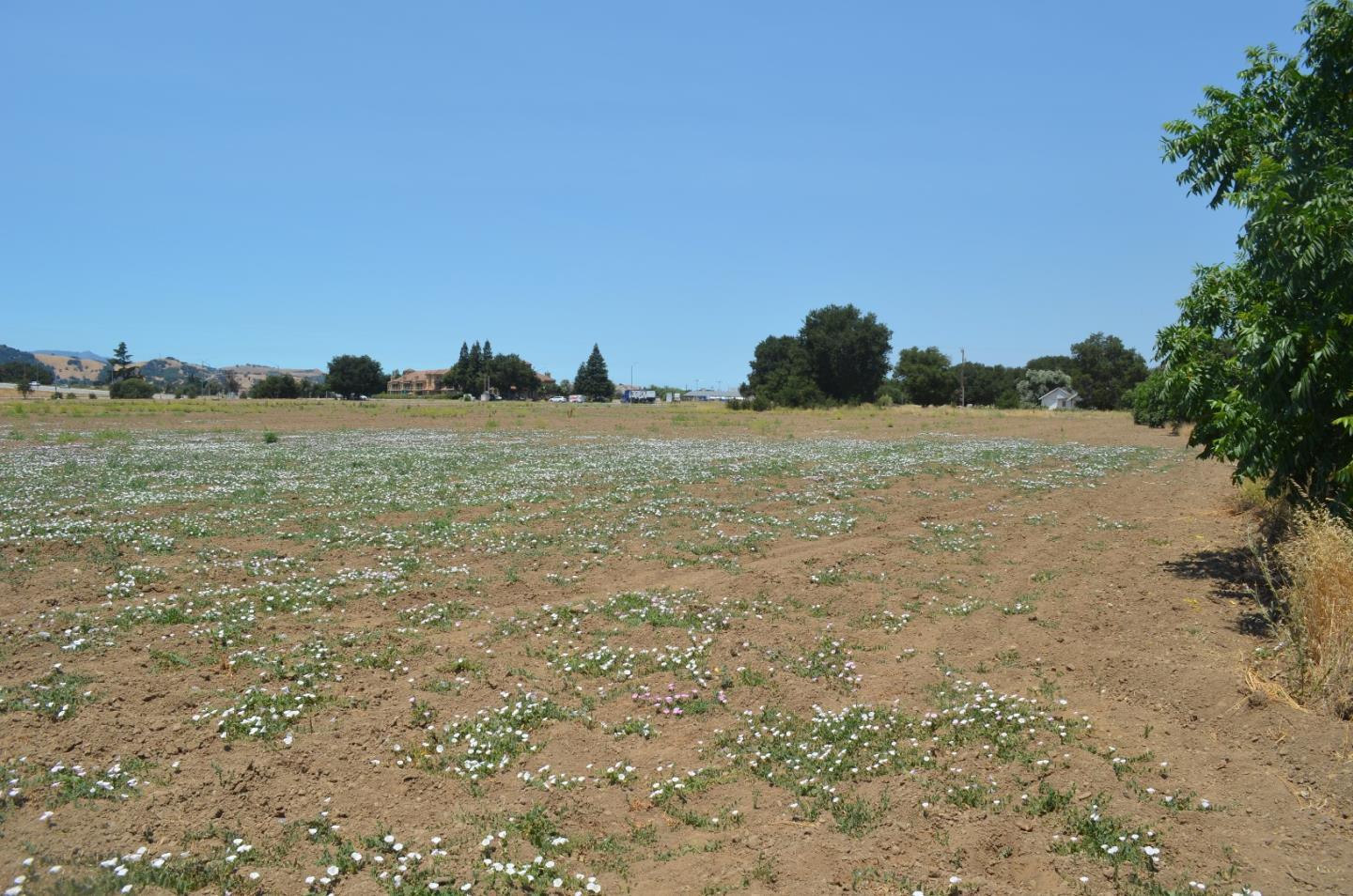 1280 Tennant Avenue, MORGAN HILL, California 95037, ,Lots And Land,For Sale,Tennant Avenue,40965479