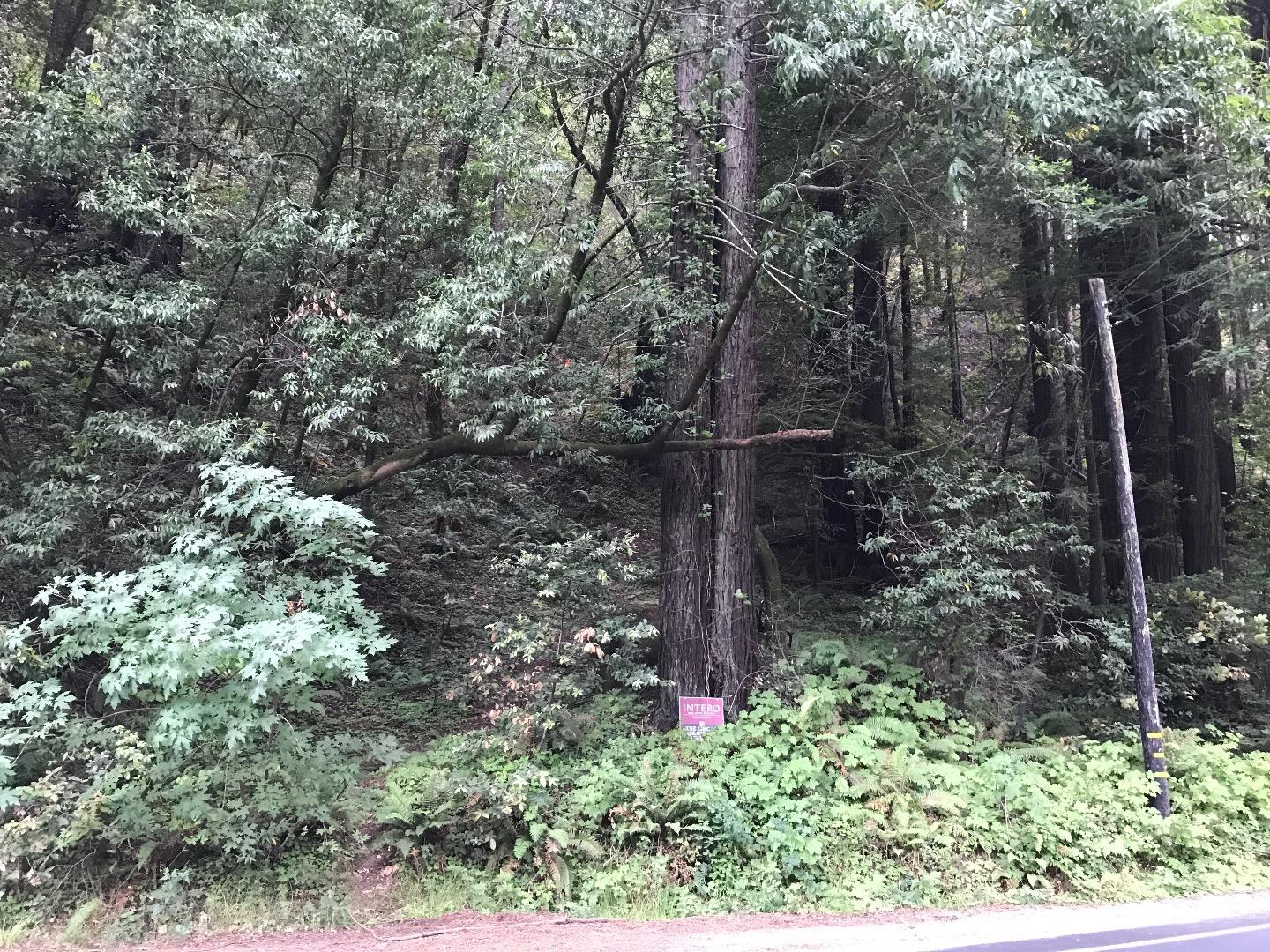 925 Cazadero Highway, OTHER - SEE REMARKS, California 95421, ,Lots And Land,For Sale,Cazadero Highway,40967351