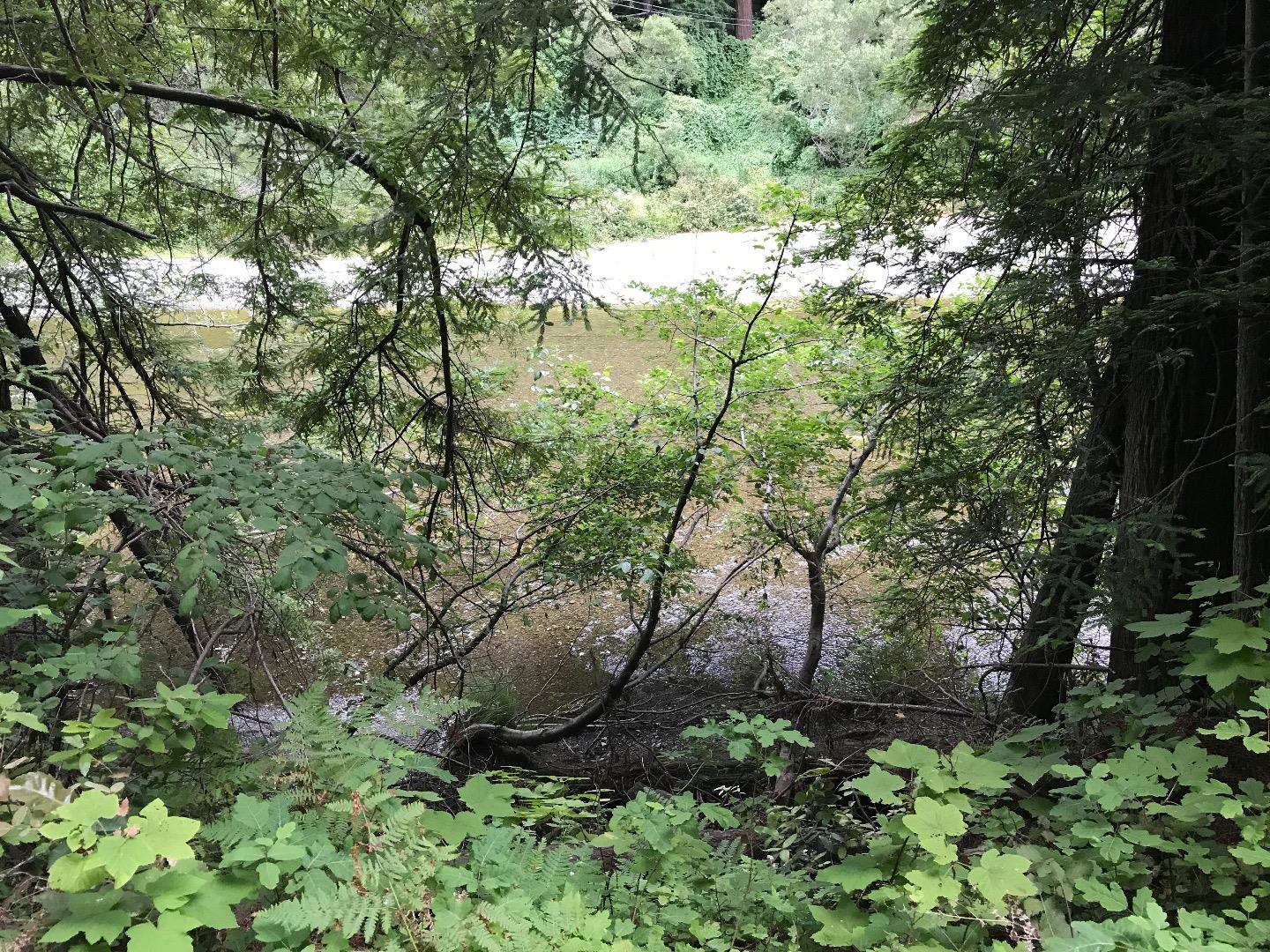 925 Cazadero Highway, OTHER - SEE REMARKS, California 95421, ,Lots And Land,For Sale,Cazadero Highway,40967351