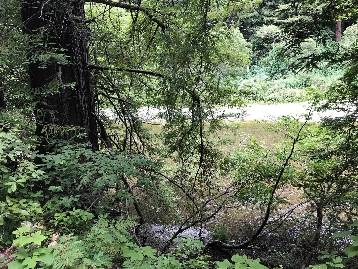 925 Cazadero Highway, OTHER - SEE REMARKS, California 95421, ,Lots And Land,For Sale,Cazadero Highway,40967351