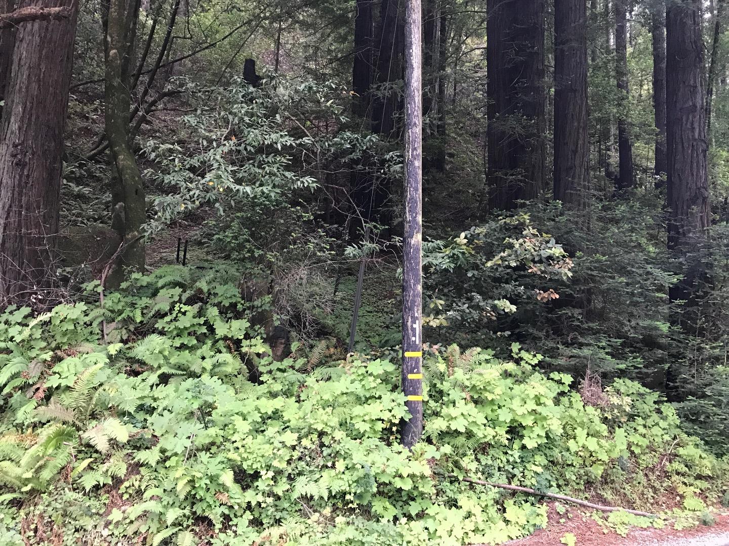 925 Cazadero Highway, OTHER - SEE REMARKS, California 95421, ,Lots And Land,For Sale,Cazadero Highway,40967351
