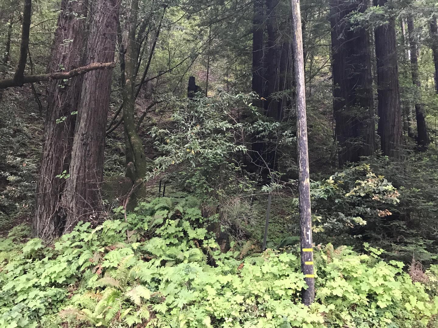 925 Cazadero Highway, OTHER - SEE REMARKS, California 95421, ,Lots And Land,For Sale,Cazadero Highway,40967351