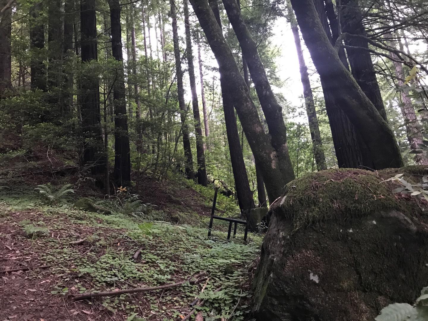 925 Cazadero Highway, OTHER - SEE REMARKS, California 95421, ,Lots And Land,For Sale,Cazadero Highway,40967351