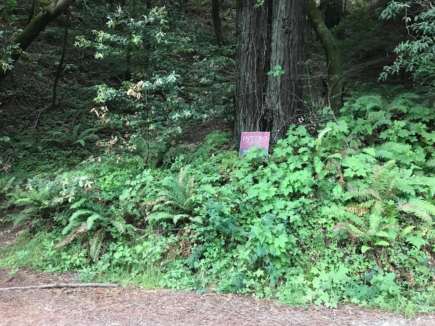 925 Cazadero Highway, OTHER - SEE REMARKS, California 95421, ,Lots And Land,For Sale,Cazadero Highway,40967351