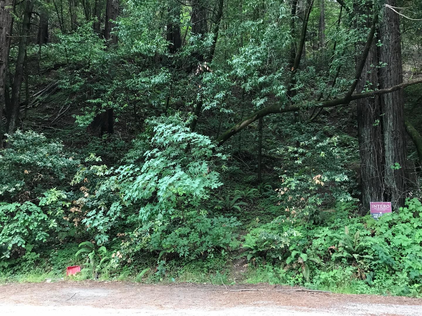 925 Cazadero Highway, OTHER - SEE REMARKS, California 95421, ,Lots And Land,For Sale,Cazadero Highway,40967351
