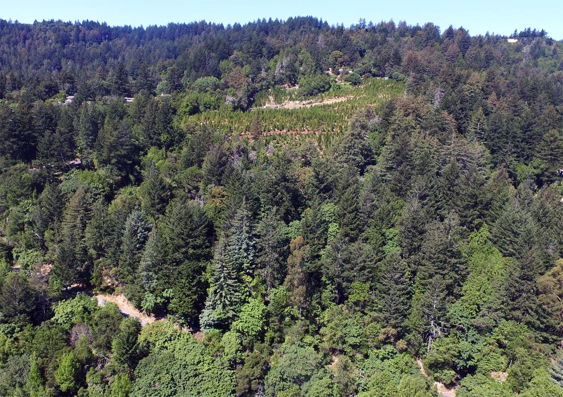 20059 Thompson Road, LOS GATOS, California 95033, ,Lots And Land,For Sale,Thompson Road,40967352