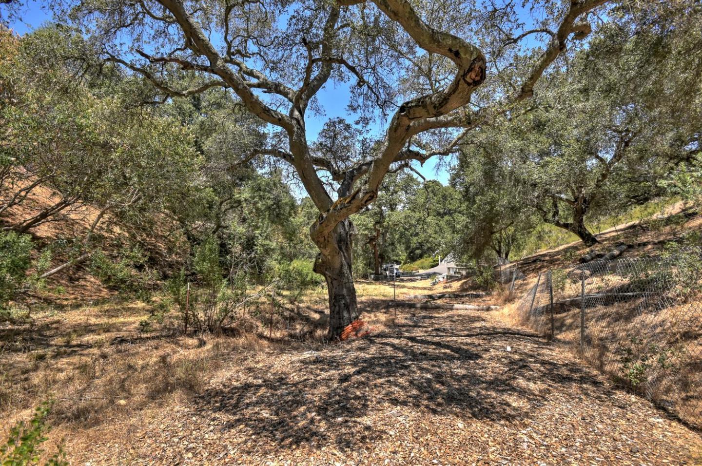 16084 Greenridge Terrace, LOS GATOS, California 95032, ,Lots And Land,For Sale,Greenridge Terrace,40967353