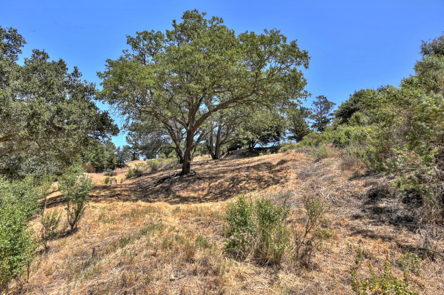 16084 Greenridge Terrace, LOS GATOS, California 95032, ,Lots And Land,For Sale,Greenridge Terrace,40967353