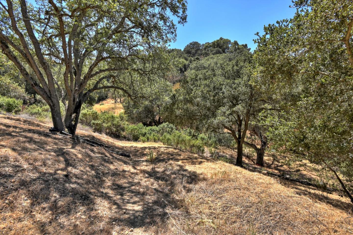16084 Greenridge Terrace, LOS GATOS, California 95032, ,Lots And Land,For Sale,Greenridge Terrace,40967353