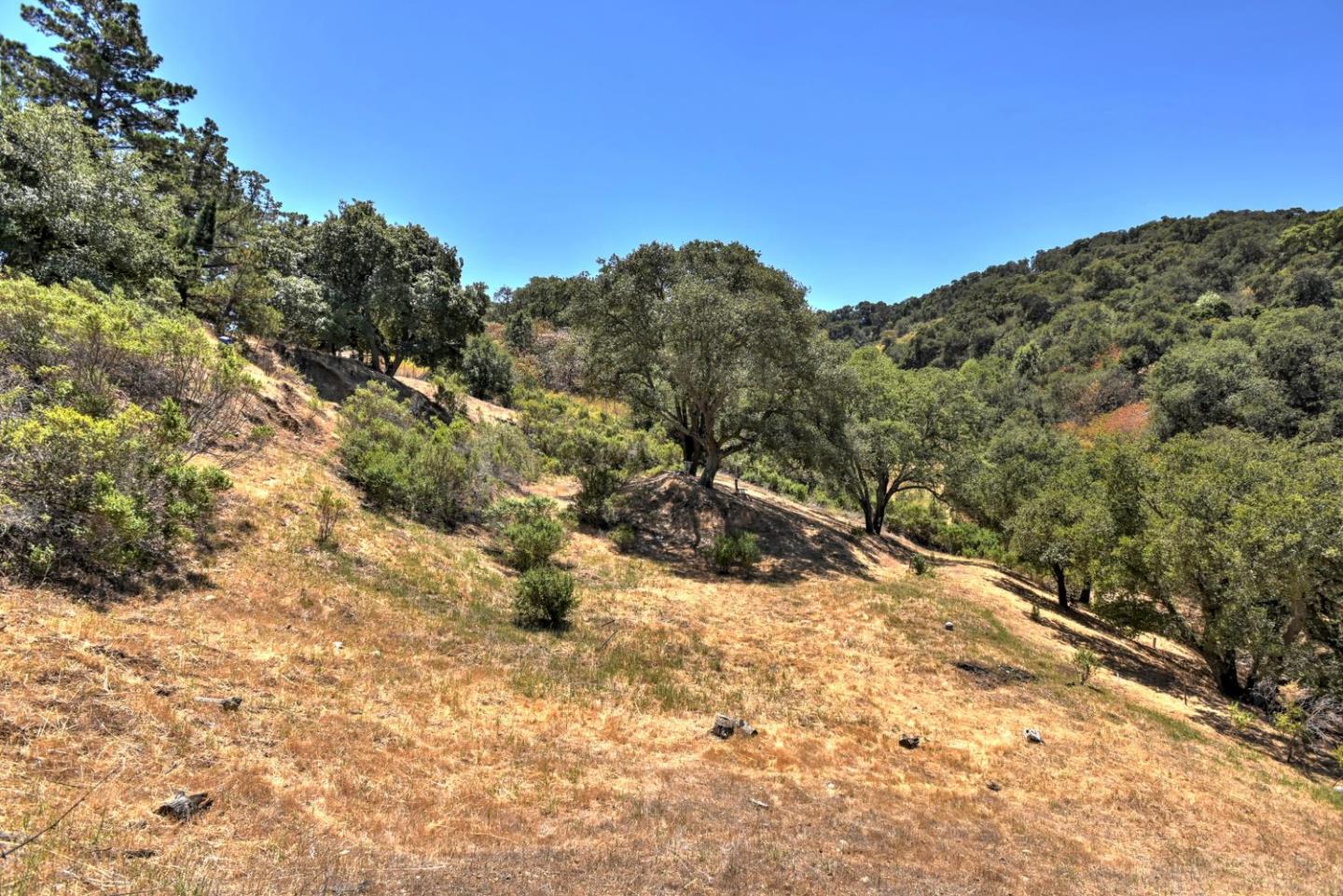 16084 Greenridge Terrace, LOS GATOS, California 95032, ,Lots And Land,For Sale,Greenridge Terrace,40967353